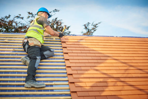 Best Asphalt Shingle Roofing  in Rugby, ND
